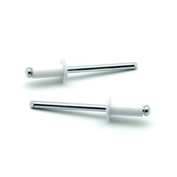 Rivetti a strappo STANDARD Alluminio/Acciaio Testa Tonda Verniciato RAL 9003 4.8x30.0mm ISO15977 - Box da 250 pezzi