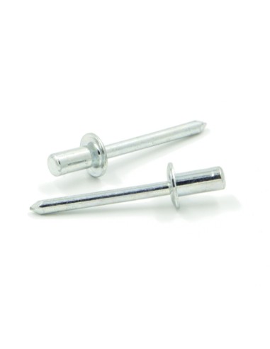 Rivetti a strappo TENUTA STAGNA Acciaio/Acciaio Testa Tonda 4.0x9.5mm ISO15976 - Box da 500 pezzi
