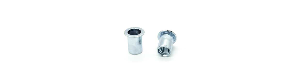 Steel Rivetnuts